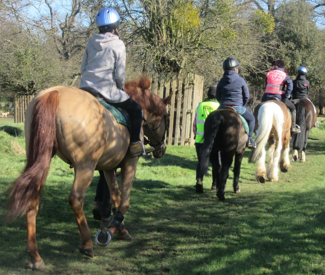 Horse Rangers